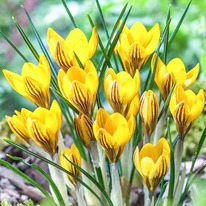 ������ ������ 10 �������