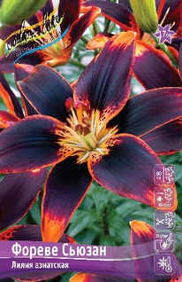 ����� ������ ������, 12/14