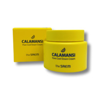 The Saem Calamansi Pore Cool Down Cream    