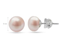 ������, ������ �������, ��-8��/���