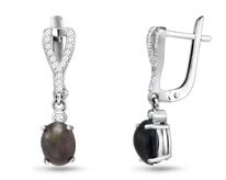 ������, ���� ���. ������, SL-RIC65