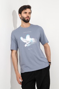 �����  ������� (��������) ������� �����-4 ��-036 �����