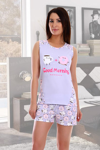 ������ ���������