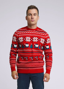 Clever   CLE MSW430921 /