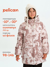 Pelican    GZWZ3380/2 