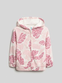 Acoola  ()    Melisia 20221000041 