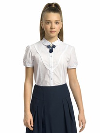 Pelican ������ ��� ������� GWCT8111 �����