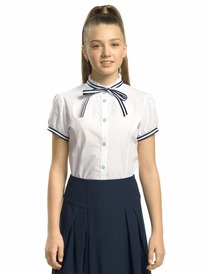 Pelican ������ ��� ������� GWCT8117 �����