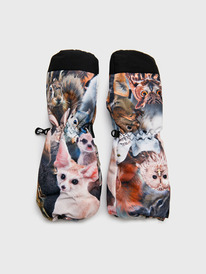 PlayToday     32422225