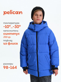 Pelican    BZXZ3362/12/1 