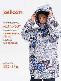 Pelican    BZXZ3377/1 