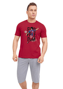 Clever ������ ������� CLE MHP420612/1 �������/������ �����