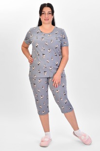 ������ � 079