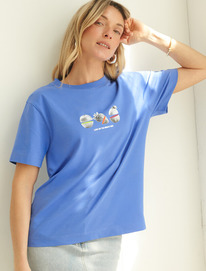   Vilatte        D49.098 