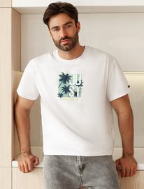   Vilatte       U49.048 _just