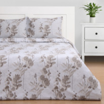 �������� ����������� ����� �� ���� ���������