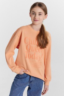 13.01 �������� MARK FORMELLE, 1093781 24-28324�-0 ������ +������