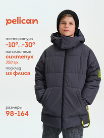 13.01 Pelican ������ ��� ��������� BZWZ3377/2 �����-�����