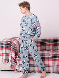 13.01 Pelican �������� ��� ��������� BFANP3367U ���