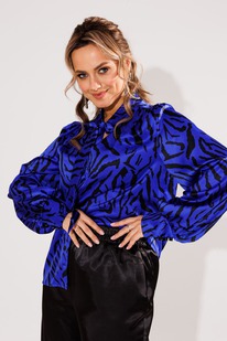 ����� ANELLI 1736 ����� ���