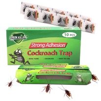 ������-������� ������� + �������� �� ���������, ����� 10 ��. � �������