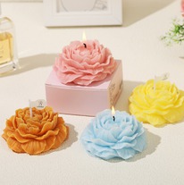 ����� ������������� �������� 