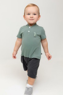 Crockid �������������� (��������) �/��� �� �� 6537/������