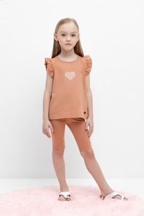 Crockid ������ ��� ��� �� 4036/��������� ������ �485