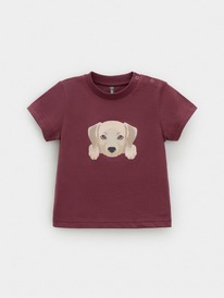 Crockid ������� (��������) �/��� �� �� 302907/���������� 1614 �630