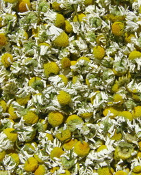 ������ ������� 50 ��