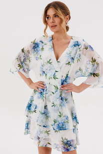 ������ AmberA 1079-1 ������