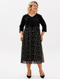 ������ BRELA 2432 ������