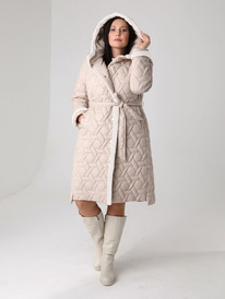 ������ DizzyWay 24402 �������