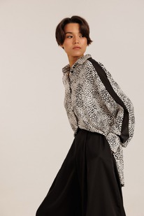 ����� DILIA 6.004