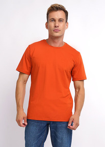 Clever �������� ������� CLE 600309�_� �.���������