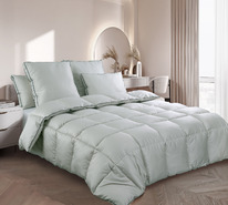 ������ ������� ������� ��� 400 �, ����� �300