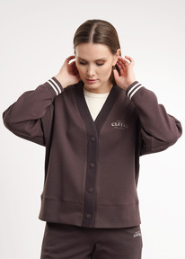 Clever ������� ������� CLE LJ26-100 ����������