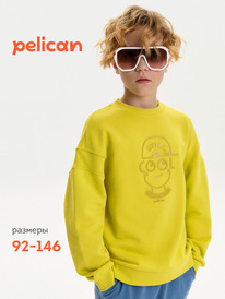 Pelican ��������� ��� ��������� BFN3387U ������