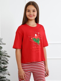 ������� (��������) ������� ��������-6.1 ��-029 �������