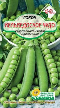 ������������� ���� �����