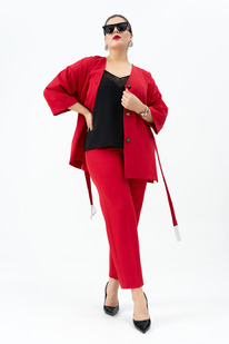 ������ ANDINA 3005 ������/������