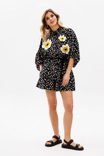 ������ EOLA 2817 ������ � �������