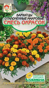 ����� ������� ��������