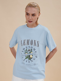 Pelican �������� ������� DFT6933/3U �������