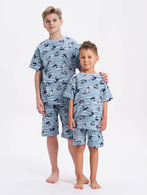 Pelican ������ ��� ��������� NFATH3371U �������