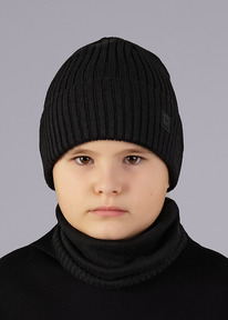 Clever ����� ������� CLE 544083�� ������