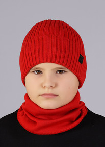 Clever ����� ������� CLE 544083�� �������