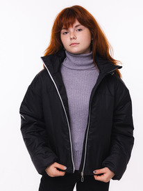 ������ ������ ������� (4609/2-24wb) 4609/2-24wb-1 ������