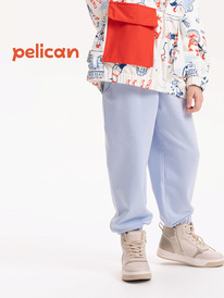 Pelican ����� ��� ������� GFPQ3319/2U ���