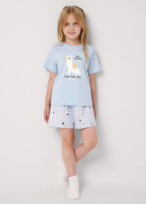 Clever ������ ������� CLE 909527��_� �������